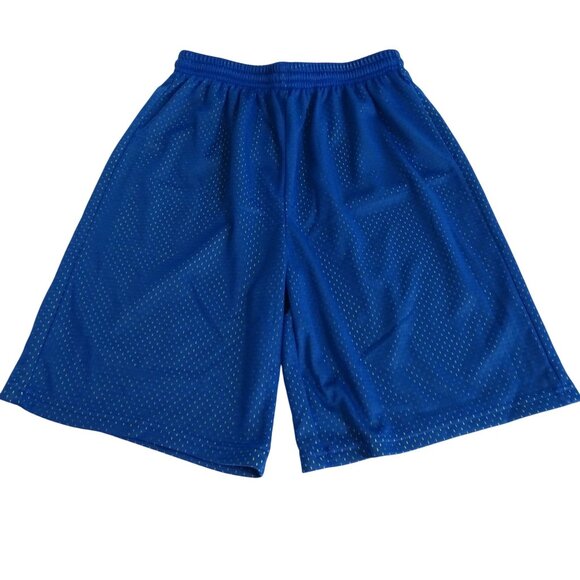 BCG Blue Green Mesh Athletic Shorts Youth Boys L 14 16 Drawstring Elastic Waist - Picture 1 of 6